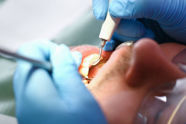Best Mobile Emergency Dentist in Shannondale, WV